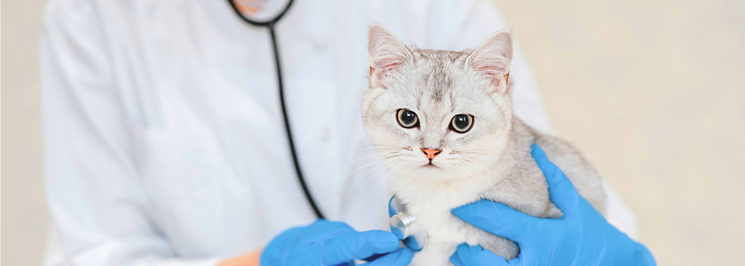 Ordine dei Medici Veterinari di Lucca